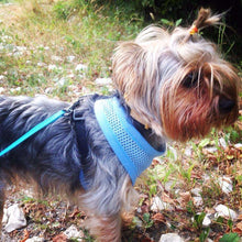 Load image into Gallery viewer, 1PC Adjustable Soft Breathable Dog Harness Nylon Mesh Vest Harness for Dogs Puppy Collar Cat Pet Dog Chest Strap Leash - Ole Misc.