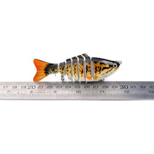 Load image into Gallery viewer, 1pcs/ wholesale Winter fishing Bionic fake hard bait 10cm/15.5g Artificial 3D eyes - Ole Misc.