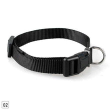 Load image into Gallery viewer, Null 1Pcs Durable Nylon Solid Color Cat Dog Pet Collar 4 Color Adjustable Collar S M X XL #281494 - Ole Misc.