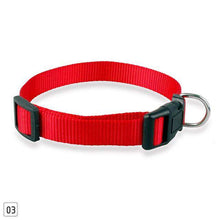 Load image into Gallery viewer, Null 1Pcs Durable Nylon Solid Color Cat Dog Pet Collar 4 Color Adjustable Collar S M X XL #281494 - Ole Misc.