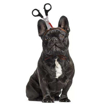 Load image into Gallery viewer, Pet Dog Cats Headdresses For Christmas Halloween Pet Cat Headgear Santa Headwear Hats Dog Cat Cosplay Dressing Up Props S/M - Ole Misc.