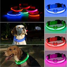 Load image into Gallery viewer, Nylon LED Light Up Dog Leash Night Safety LED Flashing Glow In Dark Dog Collar Pet Supplies Drawing Small Lead Dog Leash - Ole Misc.