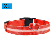 Load image into Gallery viewer, Nylon LED Light Up Dog Leash Night Safety LED Flashing Glow In Dark Dog Collar Pet Supplies Drawing Small Lead Dog Leash - Ole Misc.