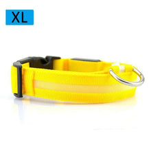 Load image into Gallery viewer, Nylon LED Light Up Dog Leash Night Safety LED Flashing Glow In Dark Dog Collar Pet Supplies Drawing Small Lead Dog Leash - Ole Misc.