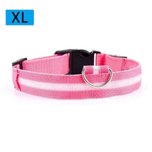 Load image into Gallery viewer, Nylon LED Light Up Dog Leash Night Safety LED Flashing Glow In Dark Dog Collar Pet Supplies Drawing Small Lead Dog Leash - Ole Misc.