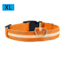 Load image into Gallery viewer, Nylon LED Light Up Dog Leash Night Safety LED Flashing Glow In Dark Dog Collar Pet Supplies Drawing Small Lead Dog Leash - Ole Misc.
