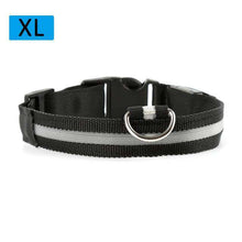 Load image into Gallery viewer, Nylon LED Light Up Dog Leash Night Safety LED Flashing Glow In Dark Dog Collar Pet Supplies Drawing Small Lead Dog Leash - Ole Misc.
