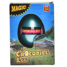 Load image into Gallery viewer, Magic Hatching  Dinosaur Snake Animal Egg Growing In Water Pet Children Gift Toy - Ole Misc.