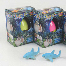 Load image into Gallery viewer, Magic Hatching  Dinosaur Snake Animal Egg Growing In Water Pet Children Gift Toy - Ole Misc.
