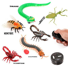 Load image into Gallery viewer, Infrared Remote Control Animal Insect Toys Simulation snake bee,Electronic robot toy for cat dog, Halloween Prank Funny Toys - Ole Misc.