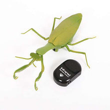 Load image into Gallery viewer, Infrared Remote Control Animal Insect Toys Simulation snake bee,Electronic robot toy for cat dog, Halloween Prank Funny Toys - Ole Misc.