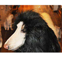 Load image into Gallery viewer, Cute Pet Cosplay Clothes Transfiguration Costume Lion Mane Winter Warm Wig Cat large Dog Party Decoration With Ear Pet Apparel - Ole Misc.