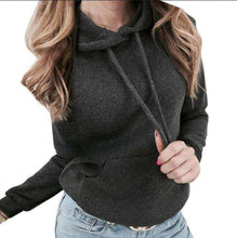 Load image into Gallery viewer, 2018 Autumn Tracksuit Long Sleeve Thicken Hooded Sweatshirts 2 Piece Set C - Ole Misc.