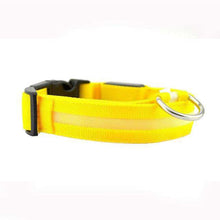 Load image into Gallery viewer, Dog Collar Nylon LED Glowing Pet Dog Collar Luminous Adjustable Collar Perro for Small Dog Cat Puppy LED Light Night Safety XS - Ole Misc.