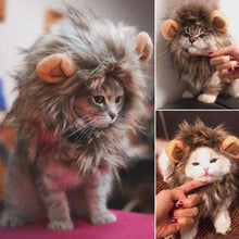 Load image into Gallery viewer, Funny Cute Pet Cat Costume Lion Mane Wig Cap Hat for Cat Dog Halloween Christmas Clothes Fancy Dress with Ears Pet Clothes - Ole Misc.
