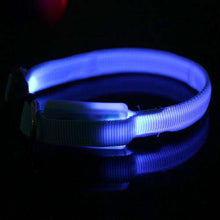 Load image into Gallery viewer, New Pet Dog Small Size LED Nylon Safety Collar Light-up Flashing Glow Collar For Dogs - Ole Misc.
