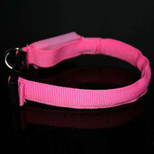 Load image into Gallery viewer, New Pet Dog Small Size LED Nylon Safety Collar Light-up Flashing Glow Collar For Dogs - Ole Misc.