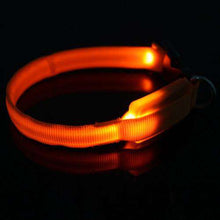 Load image into Gallery viewer, New Pet Dog Small Size LED Nylon Safety Collar Light-up Flashing Glow Collar For Dogs - Ole Misc.
