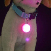 Load image into Gallery viewer, 1PC Mini Pet Dog Collar Safety Keyring Dog Cat Night Light Pendant Puppy LED Night Safety Flashing Collar Pendant - Ole Misc.