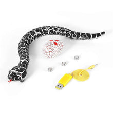 Load image into Gallery viewer, RC Remote Control Snake And Egg Rattlesnake Animal Trick Terrifying Mischief Toys Rechargeable Funny Joke Gift For Children - Ole Misc.
